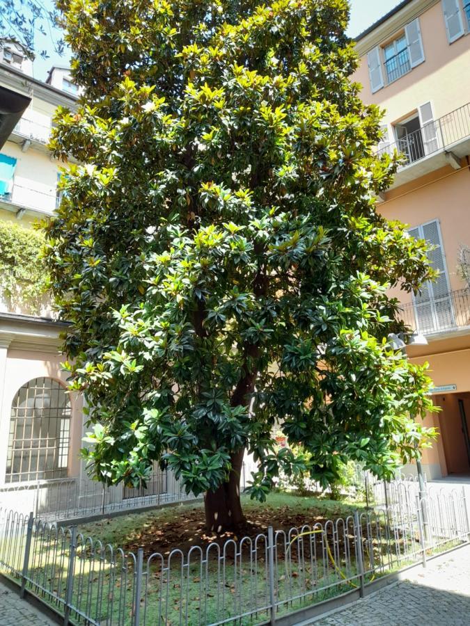 Central Garibaldi Loft, A Piedi A Palazzo Reale Turijn Buitenkant foto
